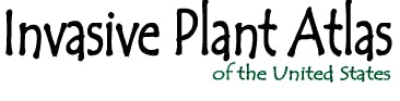 Text: "Invasive Plant Atlas of the United States".