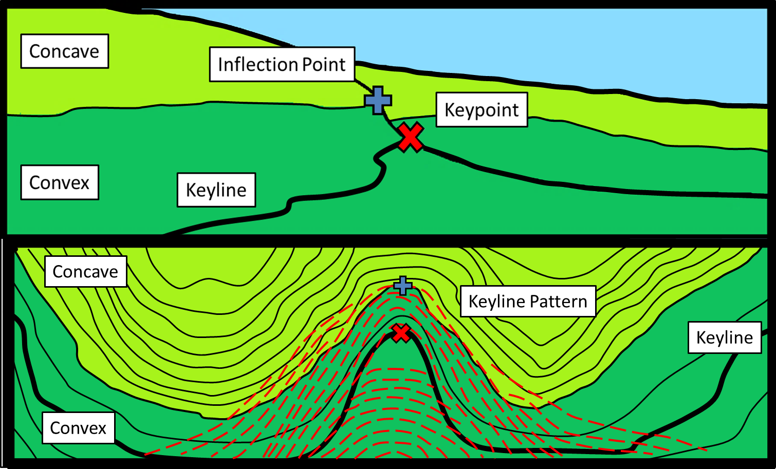 May contain: land, nature, outdoors, plant, rainforest, tree, vegetation, chart, and plot