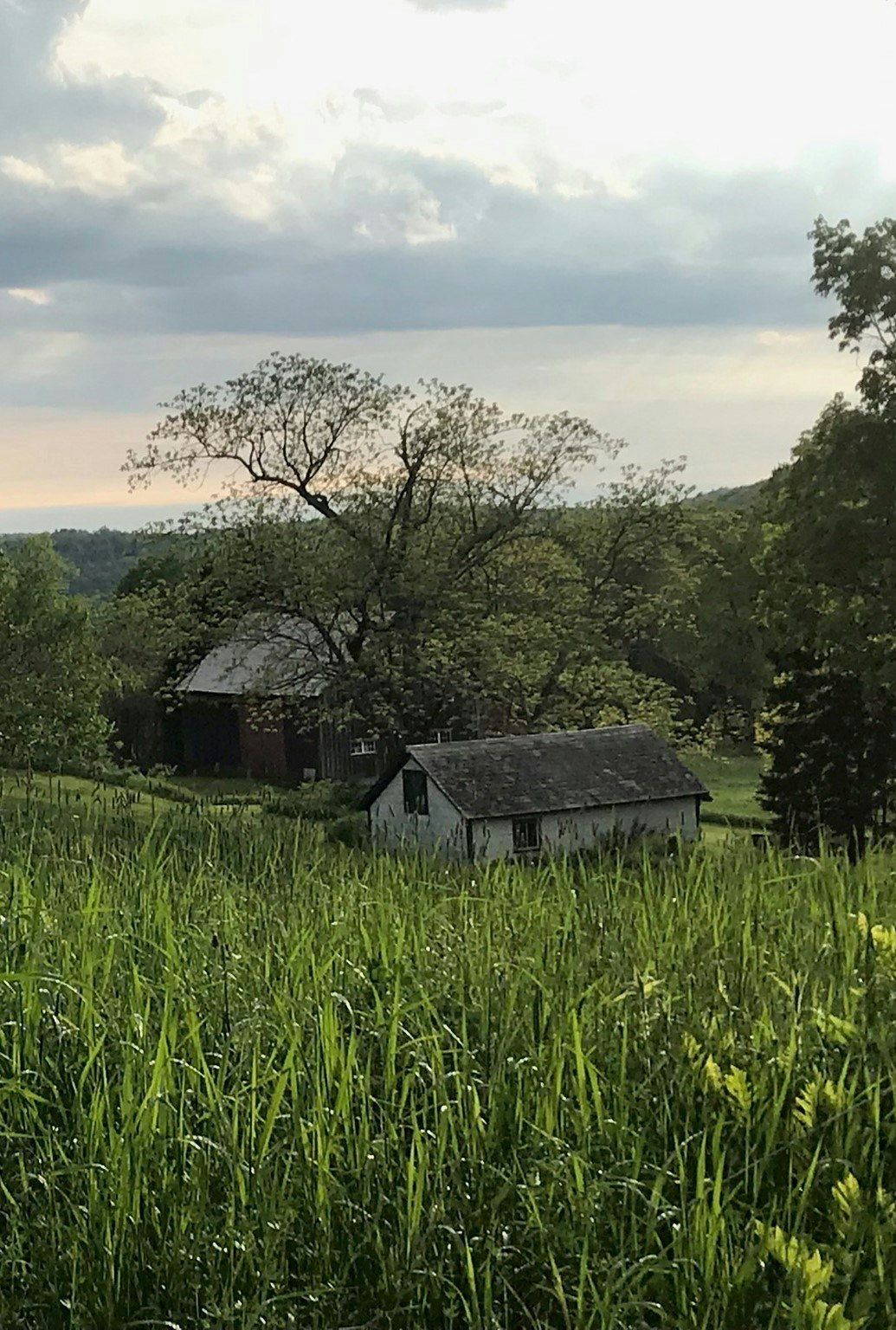 May contain: architecture, building, outdoors, shelter, countryside, hut, nature, rural, grass, plant, tree, field, grassland, vegetation, shack, and housing