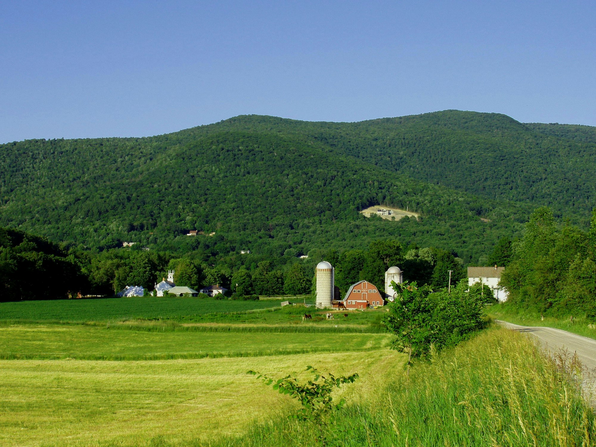 May contain: field, nature, outdoors, grass, plant, grassland, countryside, hill, farm, pasture, and rural