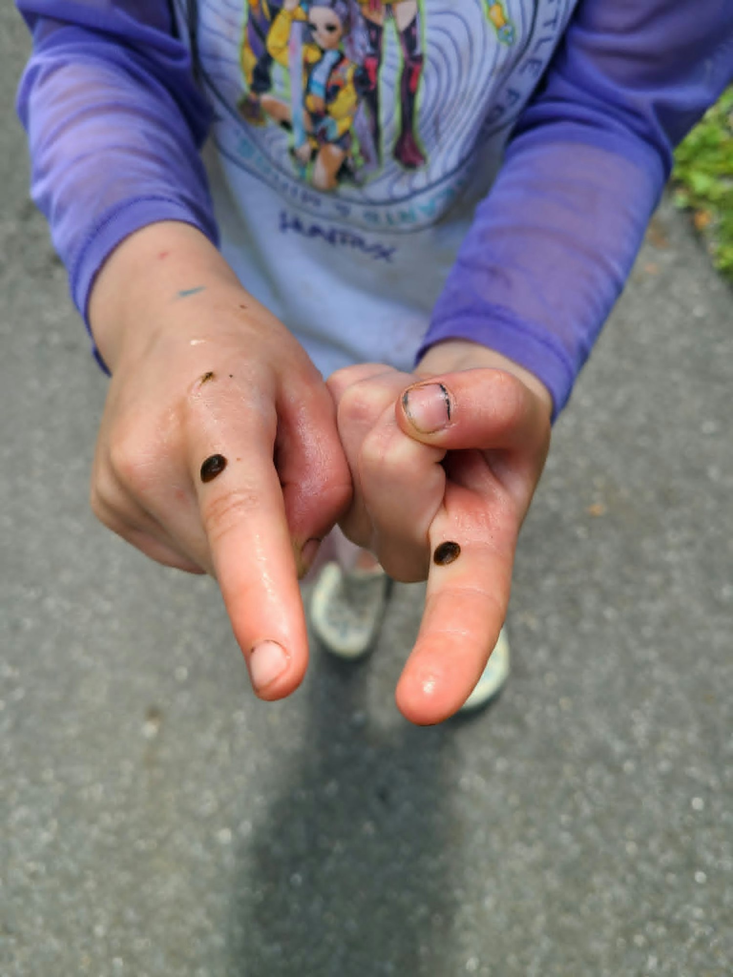 A child’s hands are showing two small brown beetles or insects on their fingers, outdoors on a paved surface.
