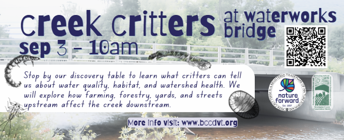 Event on Sep 3 at 10 AM at Waterworks Bridge to learn about creek critters and watershed health. More info: bccdvt.org.