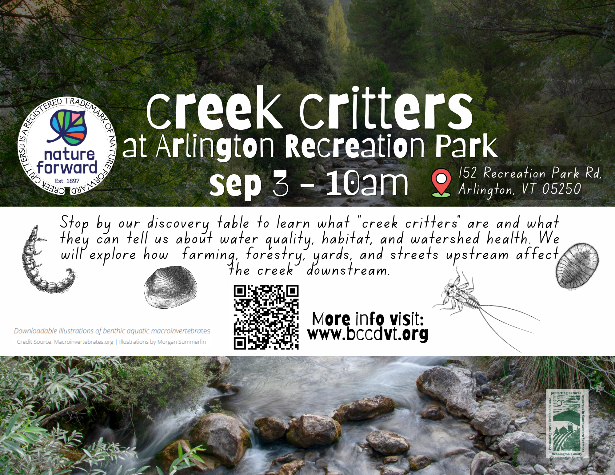 Event on Sep 3 at Arlington Recreation Park to learn about creek critters and their impact on water quality and habitat.