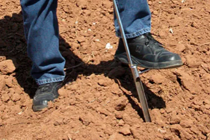 A person using a soil probe on dirt, wearing jeans and black shoes.