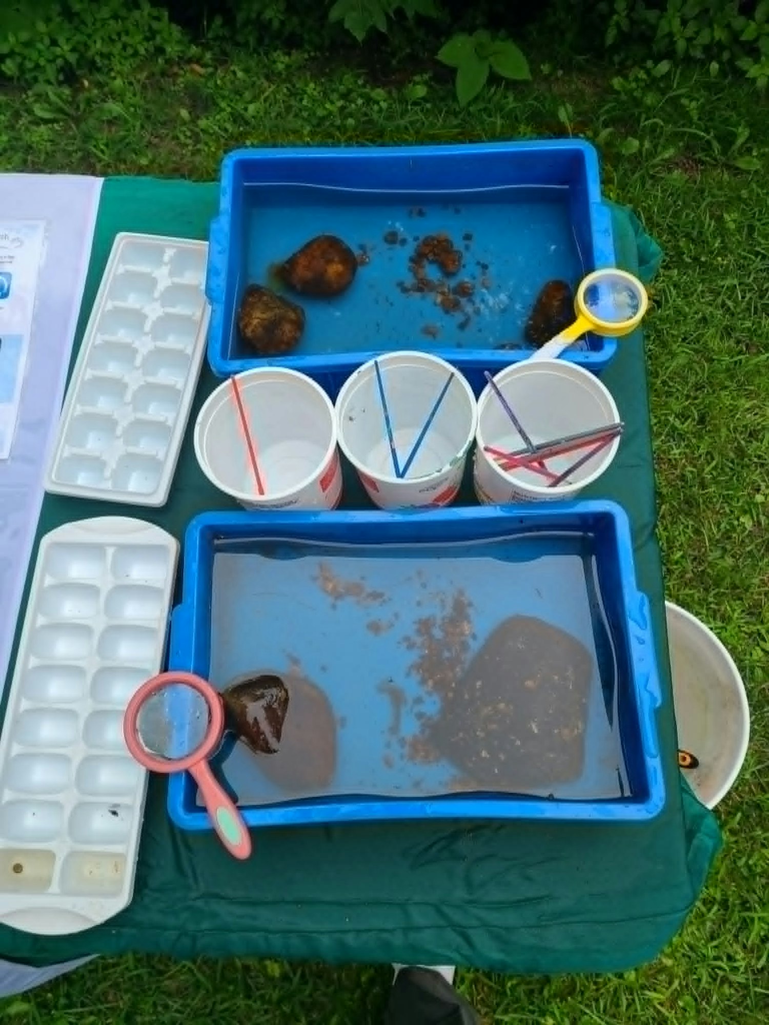 The image shows trays with water, rocks, and tools like cups and a magnifying glass, likely for a science or nature activity.