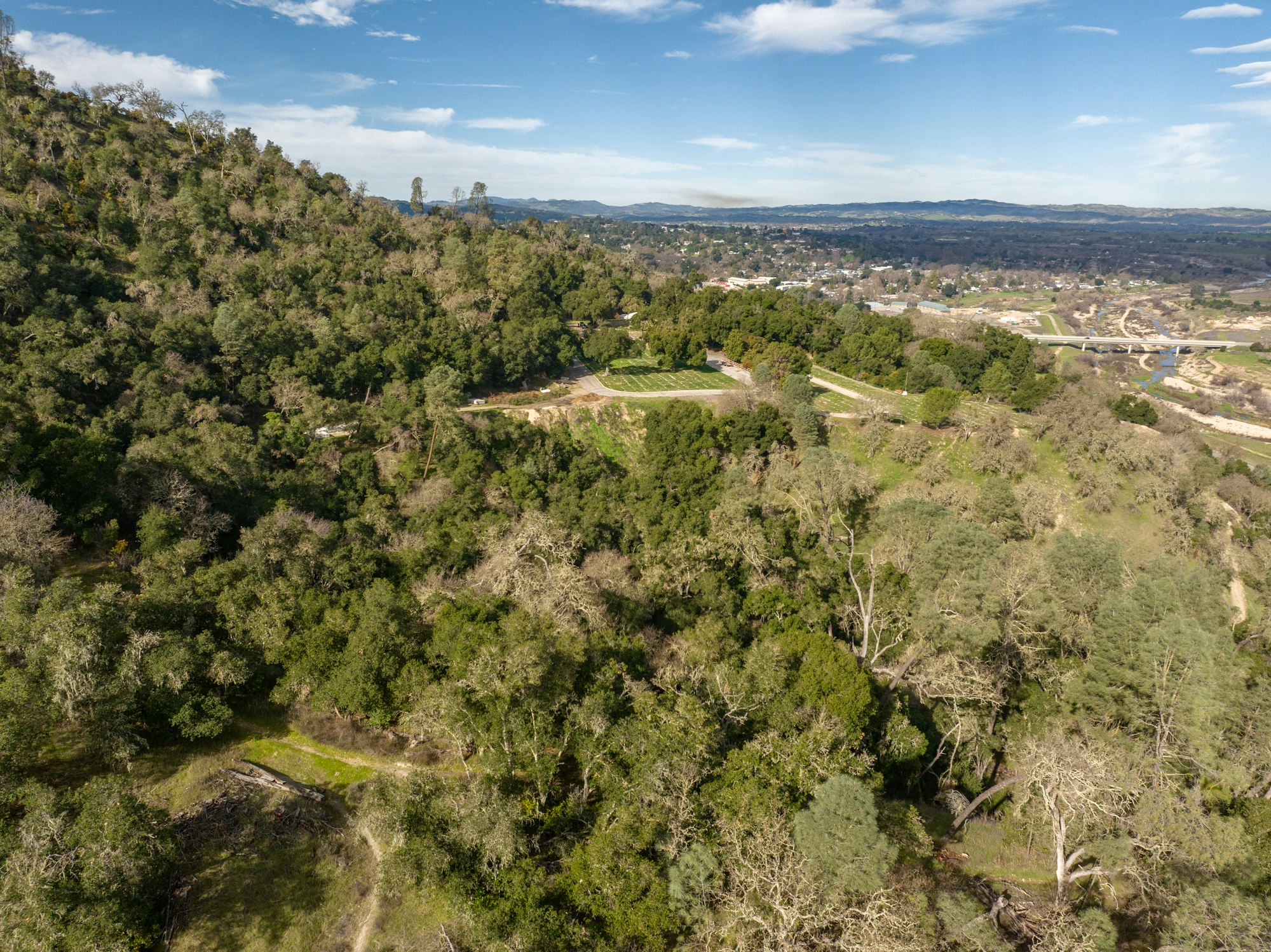 May contain: plant, vegetation, land, nature, outdoors, tree, woodland, wilderness, and aerial view