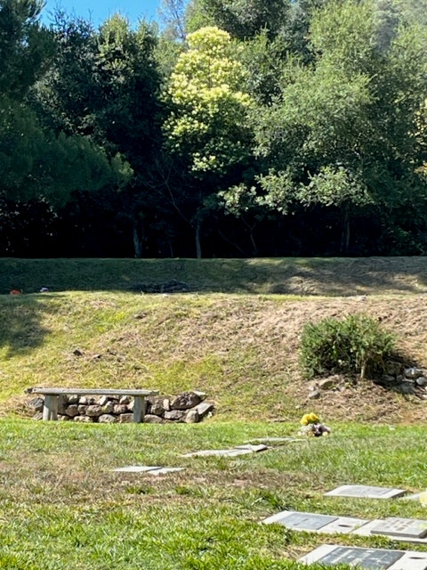 May contain: grass, plant, vegetation, grove, land, nature, outdoors, tree, woodland, field, grassland, park, bench, furniture, backyard, and yard