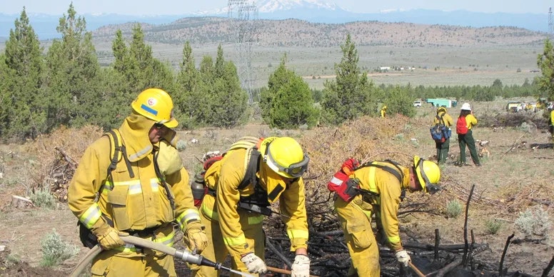 Firefighters in yellow protective gear working on charred ground, with a forested and mountainous background.