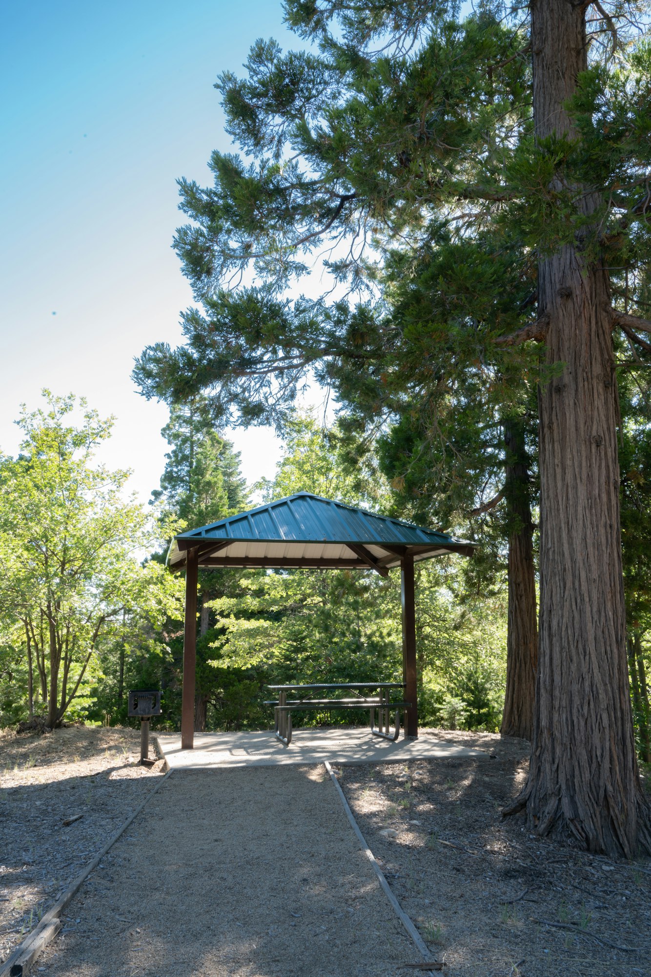 A small gazebo with a green roof, surrounded by trees and a gravel pathway, offering a shaded space in nature.