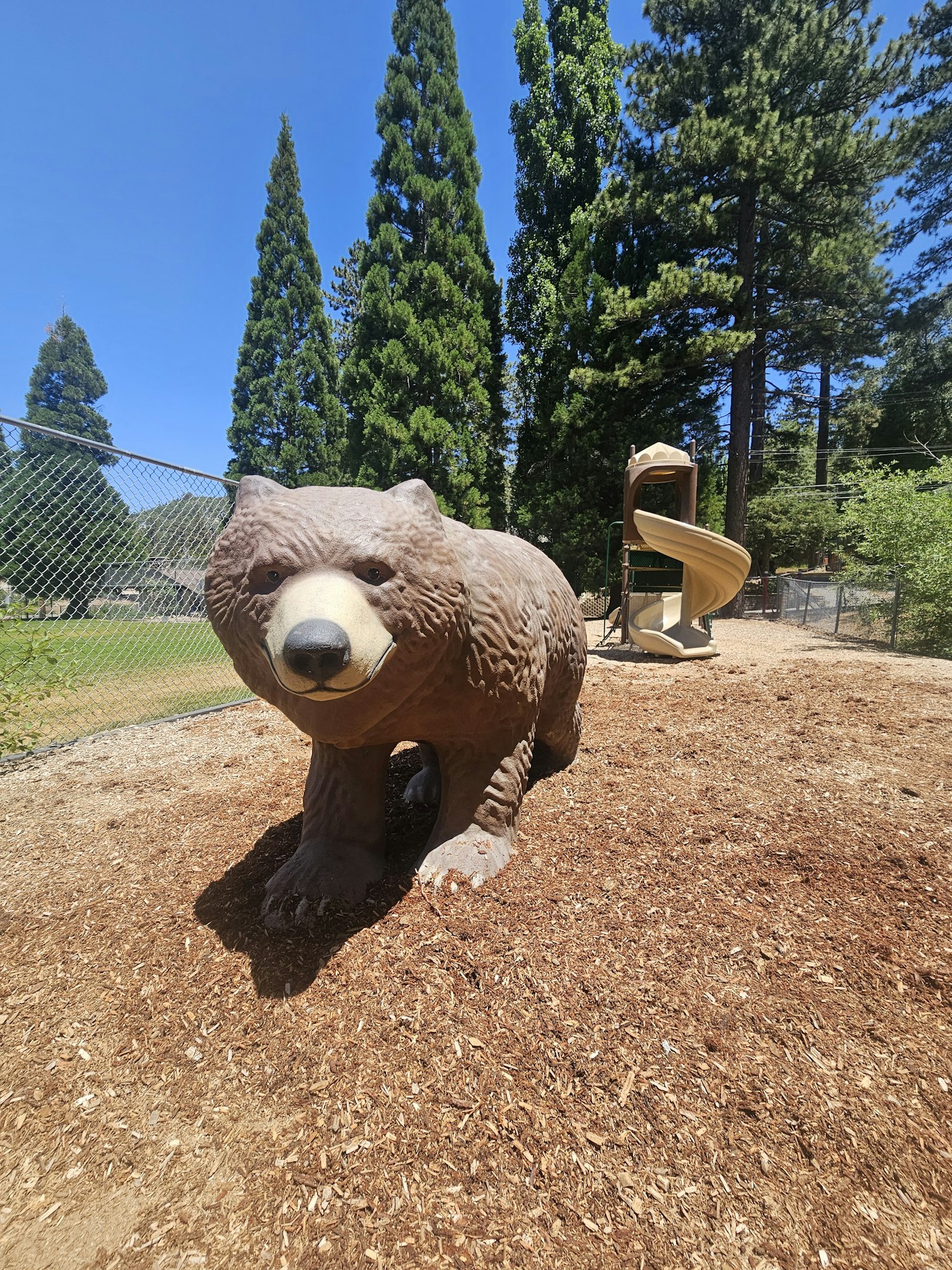 Playground with a bear sculpture, mulch ground, trees, and a bench. Image is rotated.
