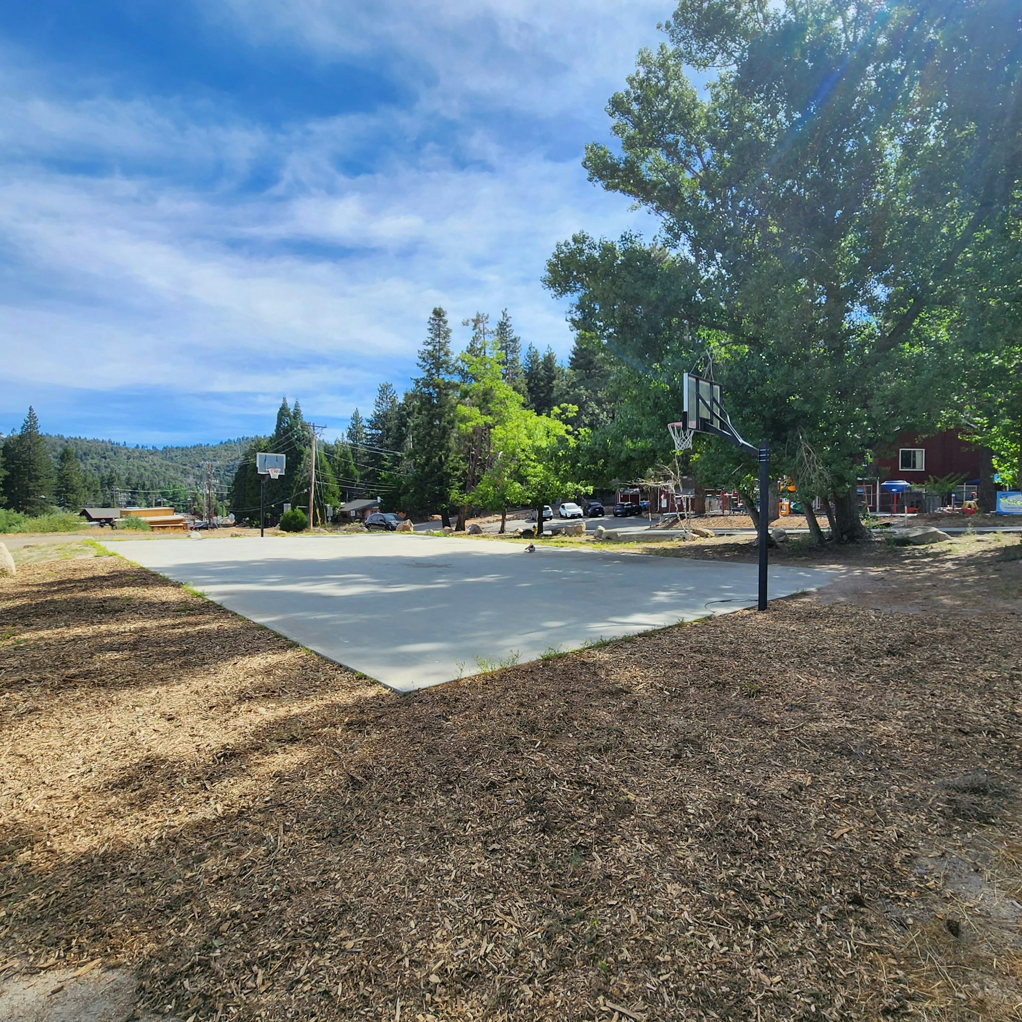 A sunny outdoor basketball court surrounded by trees, with a clear sky and some residential buildings in the background.