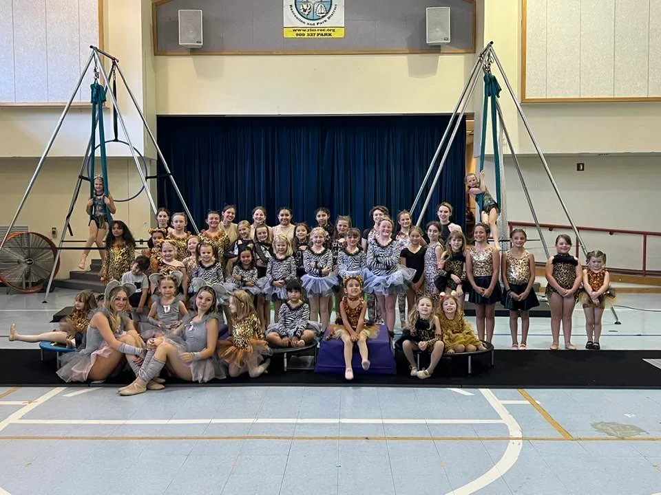 A group of children in animal-themed costumes posing on a stage with aerial silks and gymnastics equipment.