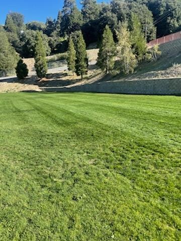 May contain: grass, plant, lawn, vegetation, field, and slope