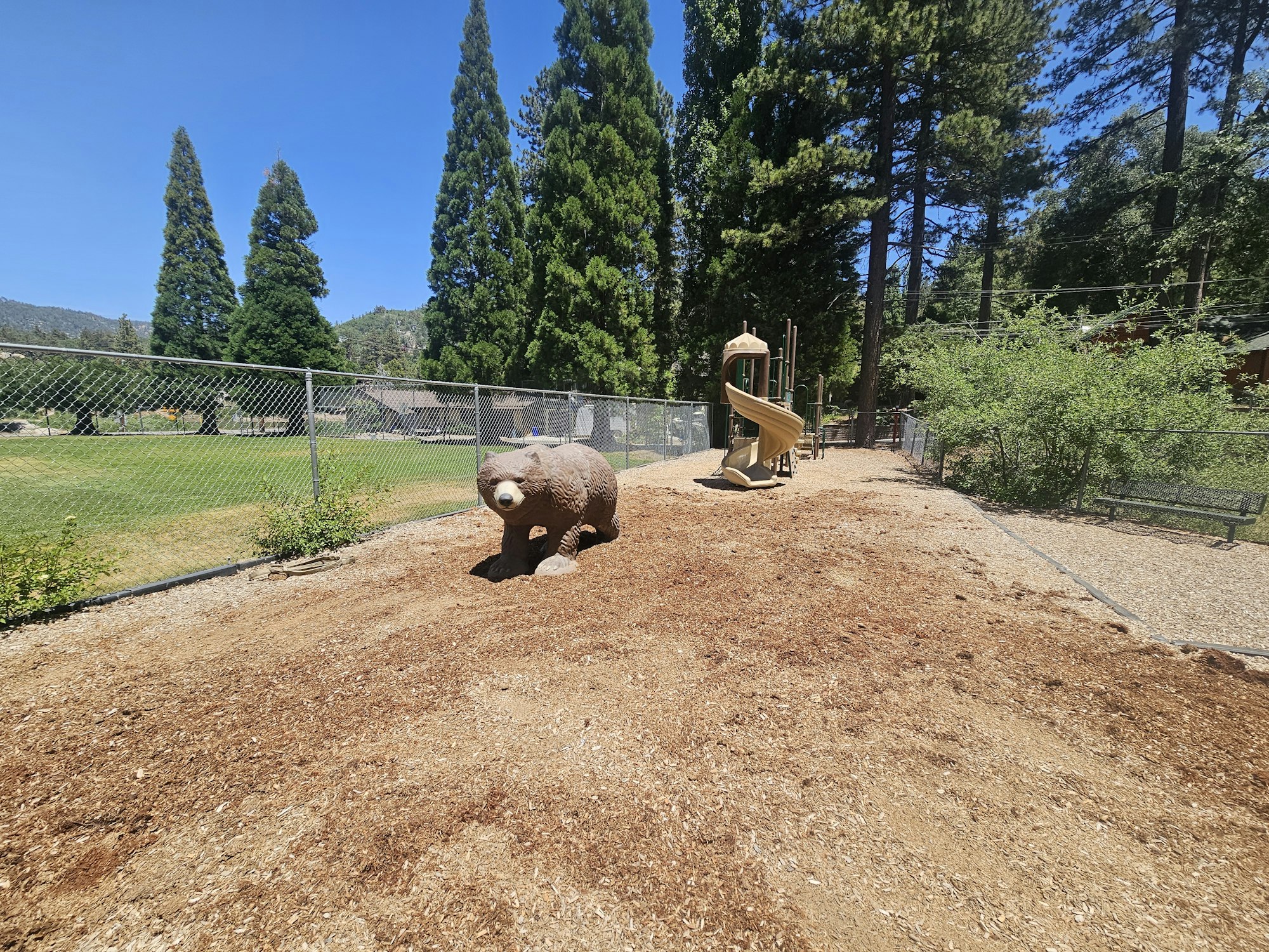 A playground with a bear sculpture, slide, wood chips, and surrounding trees on a sunny day.