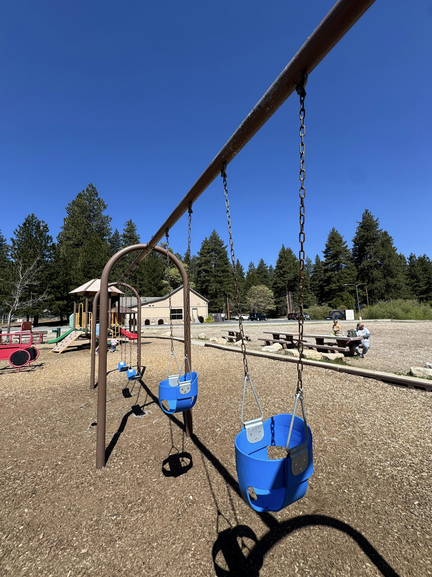 A playground with multiple swings and a blue sky, surrounded by trees and play equipment in the background.