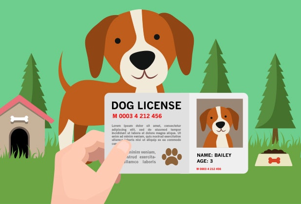 Illustration of a dog in a park with a doghouse, holding a dog license card with text and a photo of the dog.