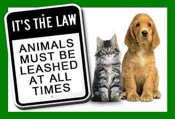Sign: "It's the law. Animals must be leashed at all times." Next to a cat and a dog.
