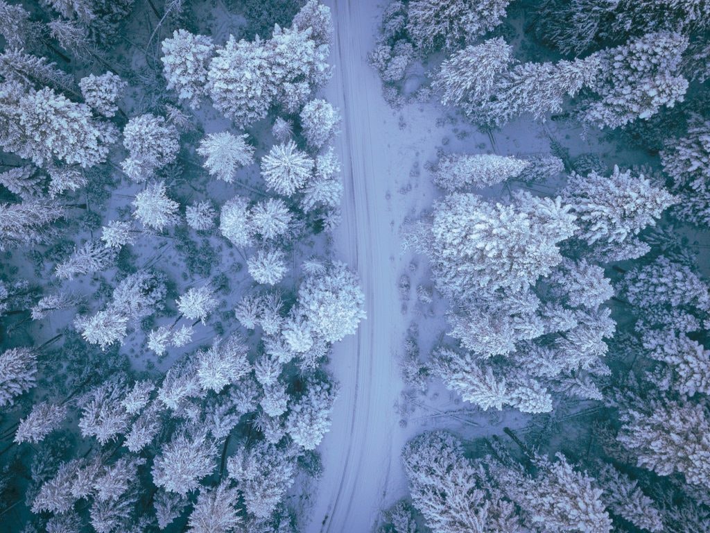 Aerial view of a snowy forest with a road cutting through.