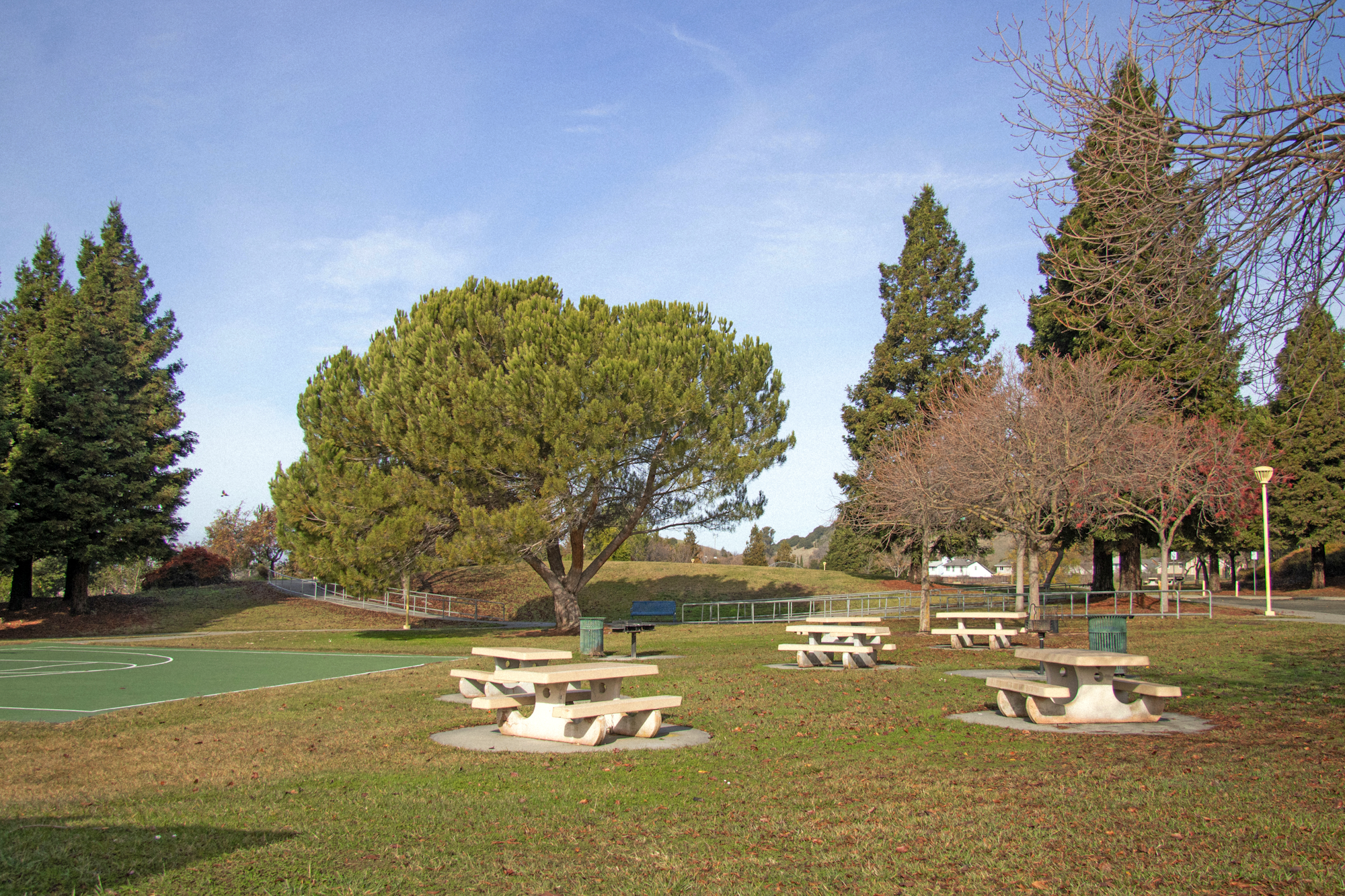Picnic area with half basketball court off to side