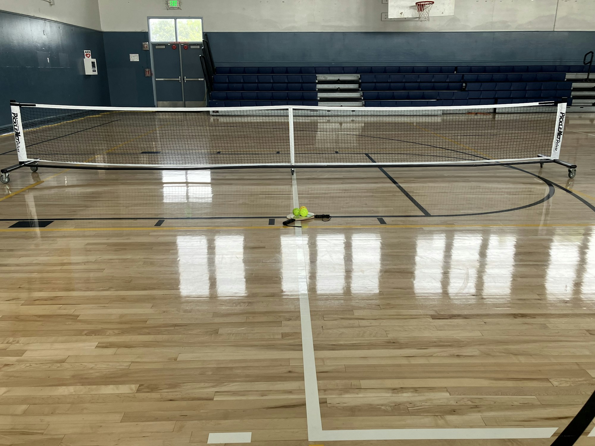 An indoor court with a pickleball net and ball, reflecting gym lights on polished wooden floor.
