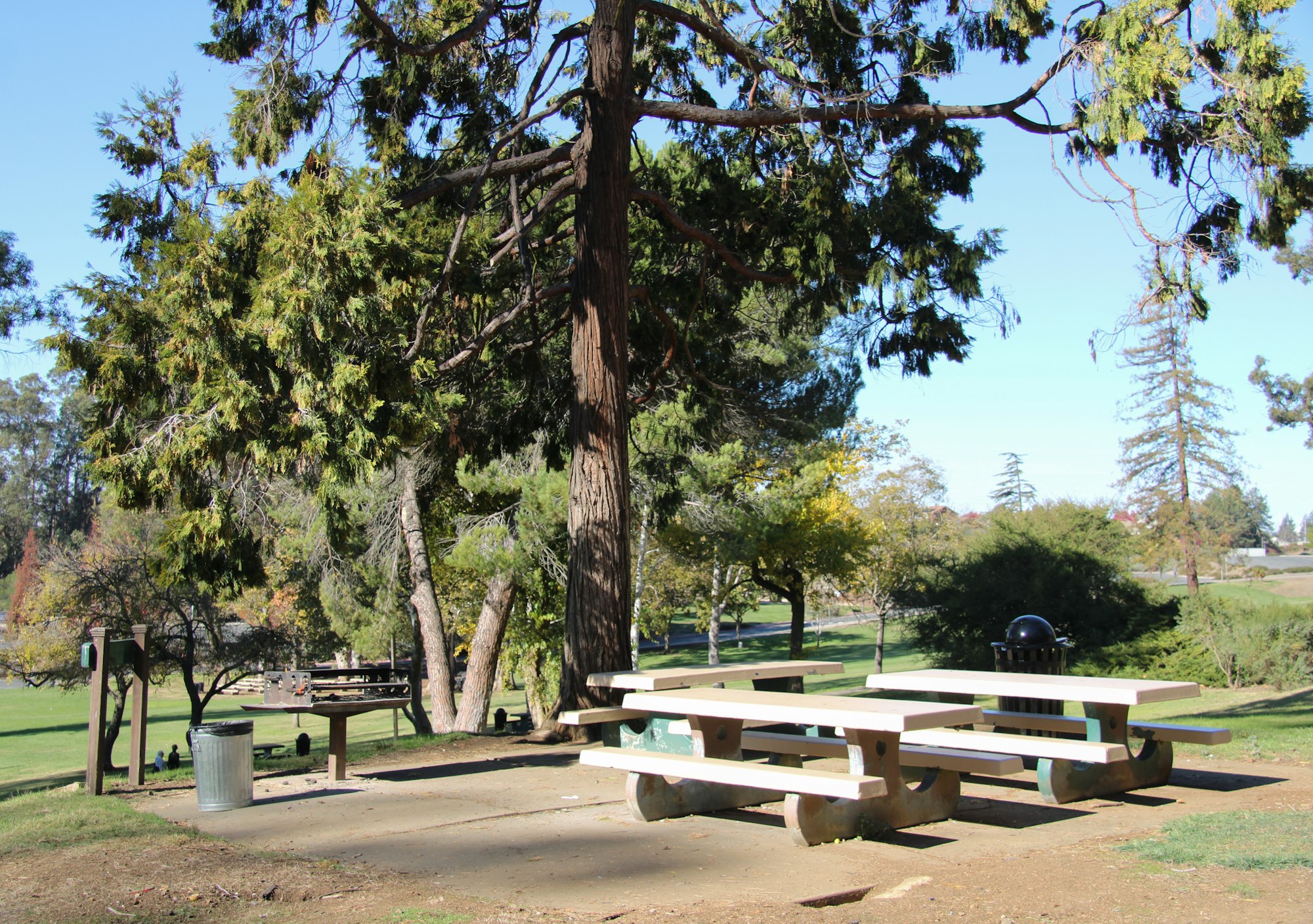 A sunny park scene with picnic tables, a grill, trees, and a trash can.