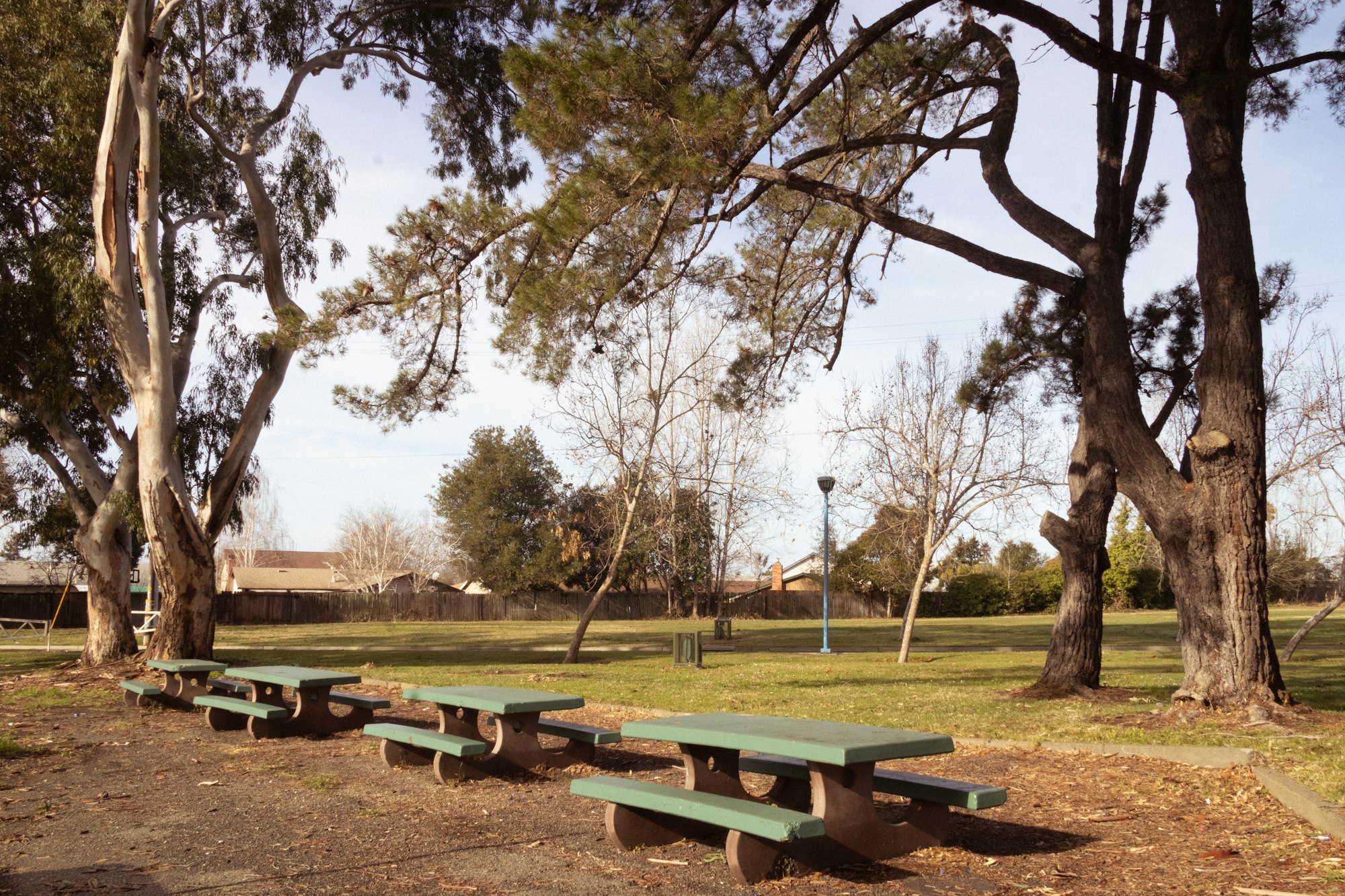 A peaceful park scene with picnic tables and tall trees under a clear sky.