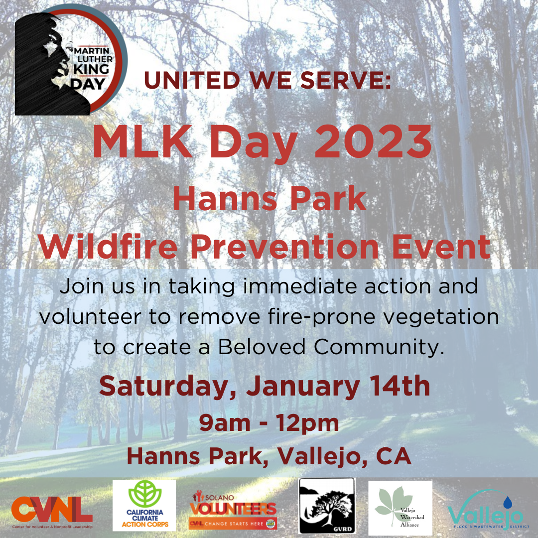 Cleanup event flyer