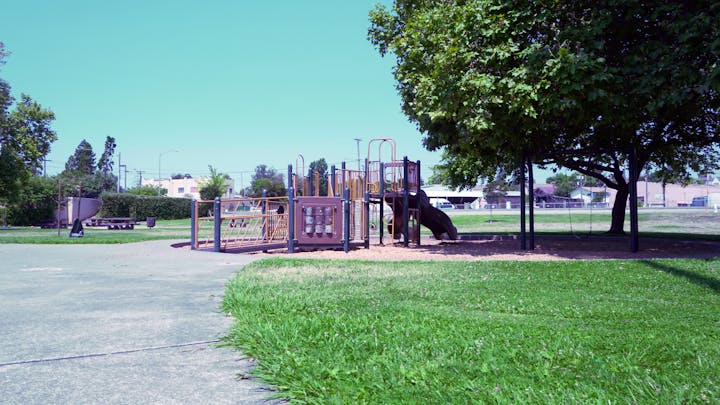 photo of Wilson park playground with picnic tables in background