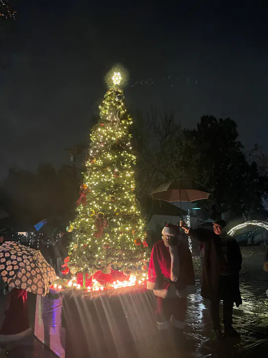 Illuminated Christmas tree and people with umbrellas at night, including someone dressed as Santa Claus.