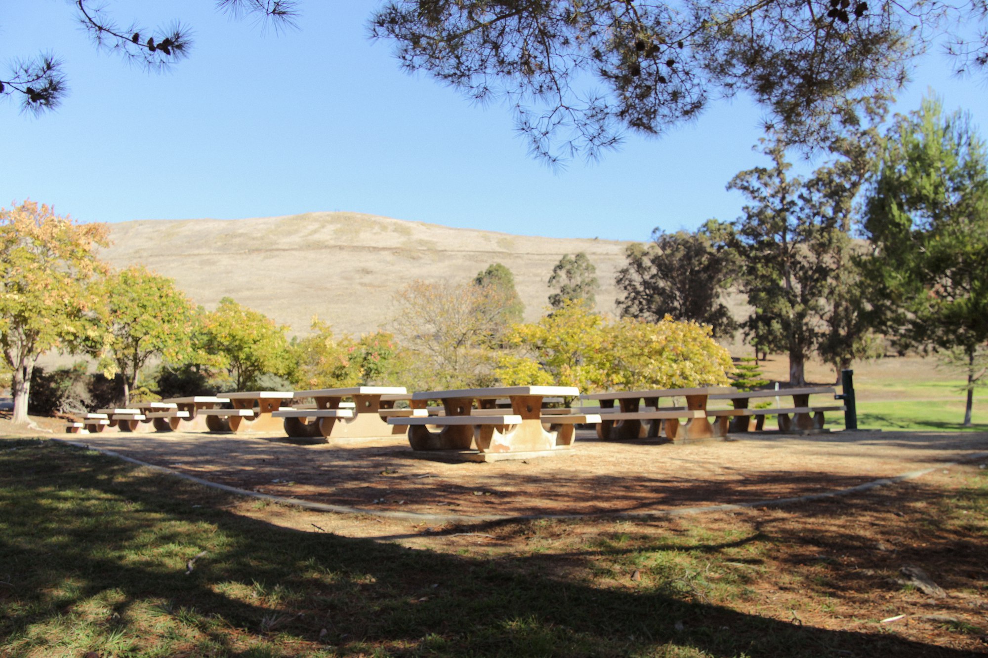 A sunny park with picnic tables, trees, and a grassy hill in the background.