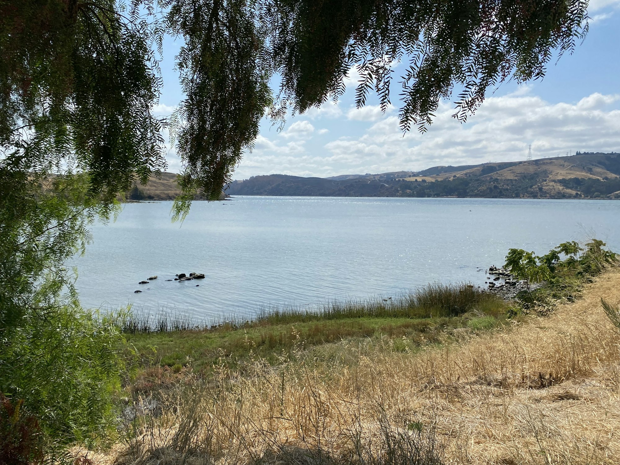A scenic view of a lake framed by hanging tree branches with hills in the background and a clear sky.