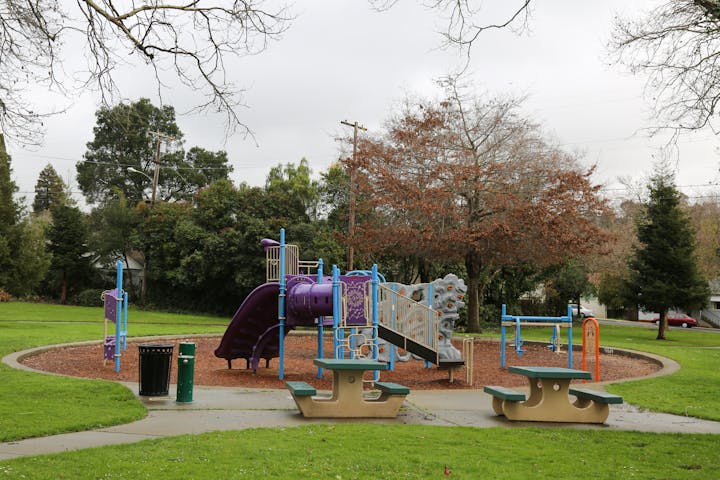 A playground with slides and climbing structures on a cloudy day, surrounded by grass and trees.