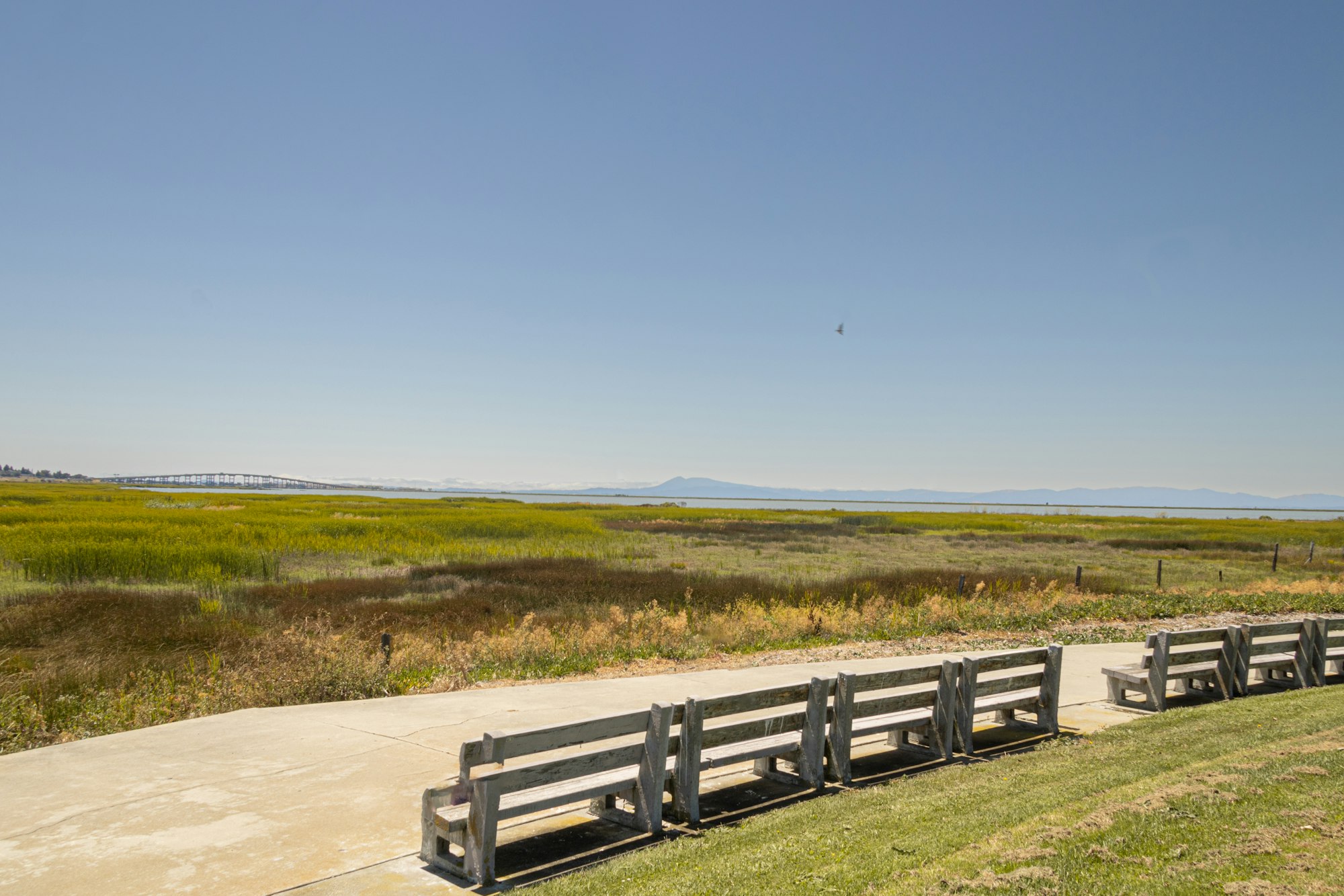 May contain: bench, furniture, grass, plant, boardwalk, bridge, nature, outdoors, scenery, animal, and bird