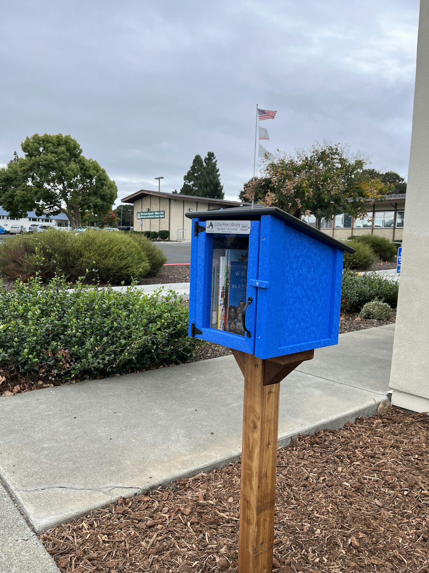 A blue street library box on a post, under a cloudy sky.