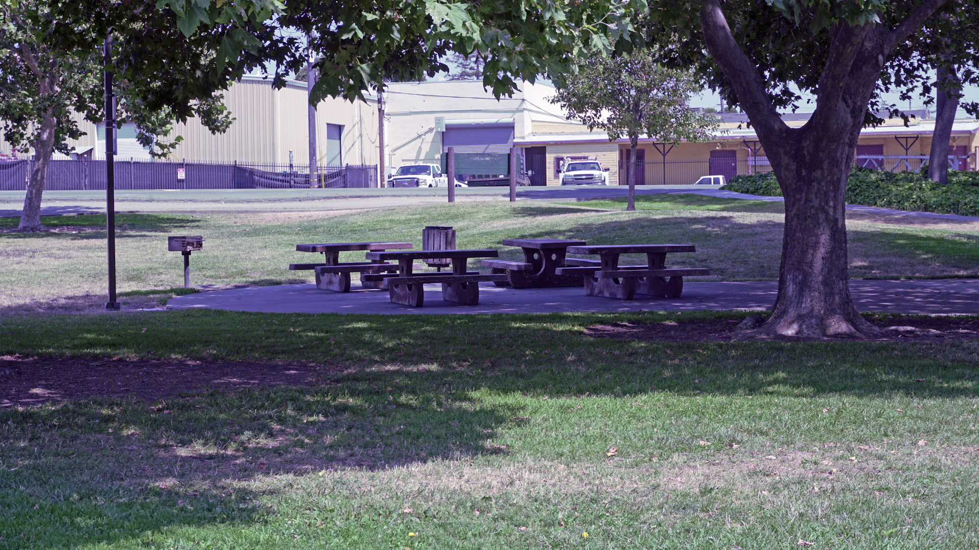 picnic tables under shade trees