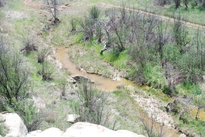 A winding creek flows through grassy, uneven terrain with sparse trees and some dried vegetation.