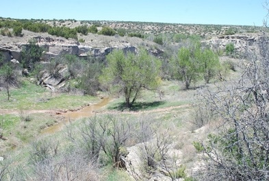 A scenic landscape featuring a rocky terrain, green vegetation, and a small stream winding through the valley.