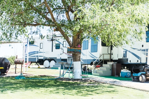 Two RVs parked near a tree in a green area, with outdoor amenities like a grill and seating. Bright, sunny day.