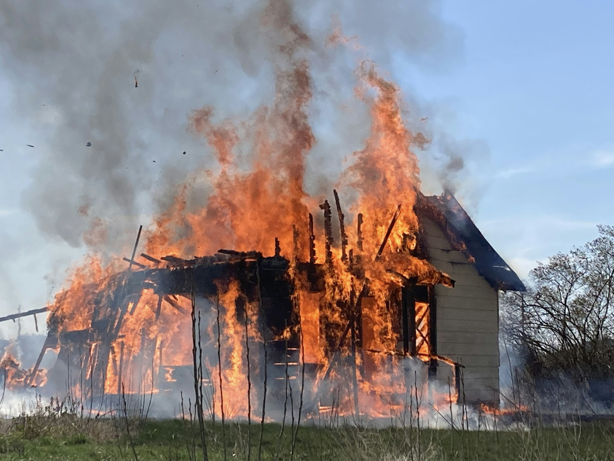 Controlled Burn. May contain: fire, explosion, bonfire, and flames.