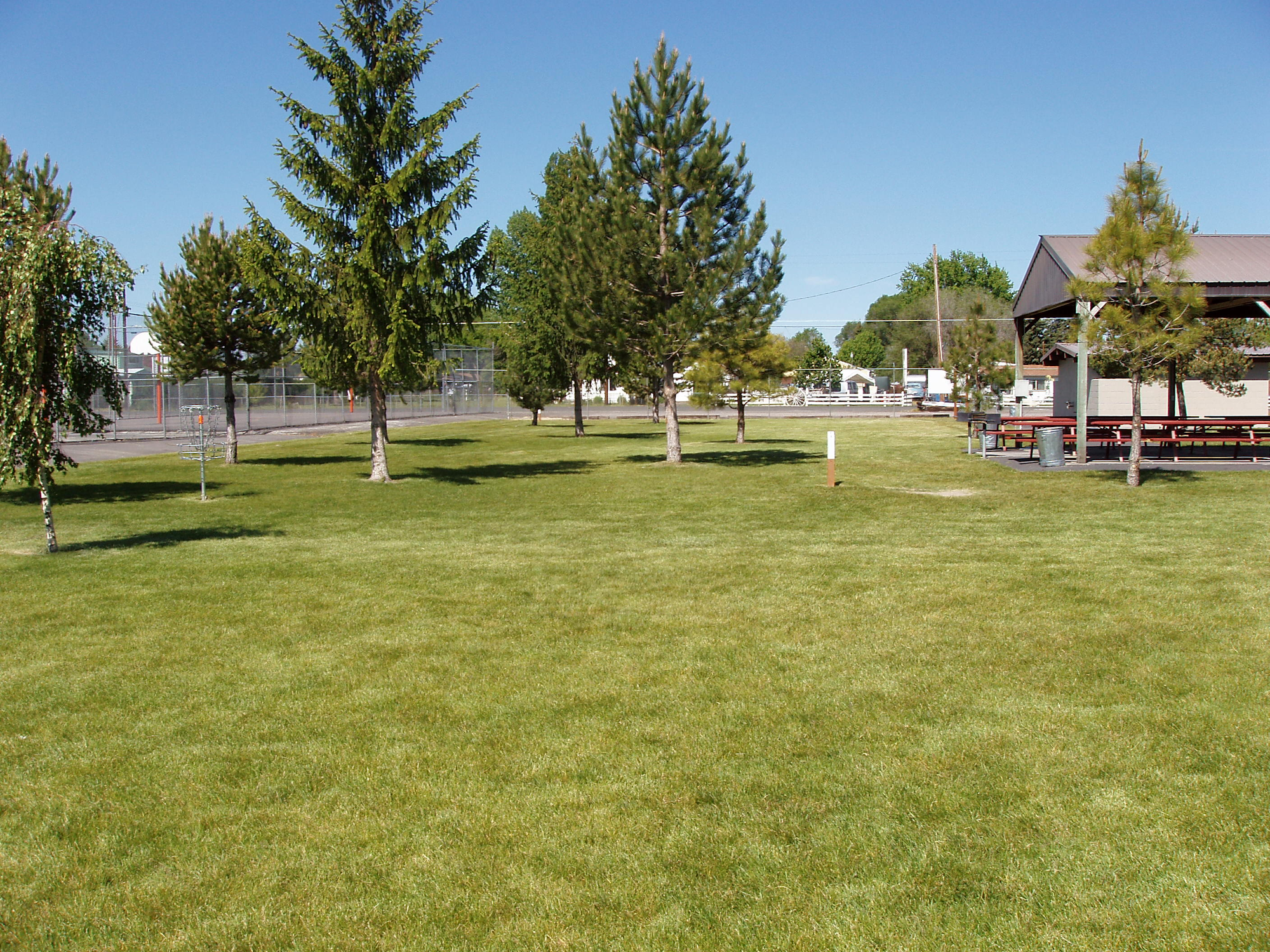 A grassy park area with several trees, picnic tables, and a basketball court in the background under a clear blue sky.