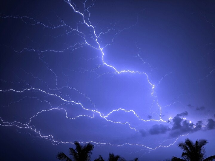 A nighttime sky with multiple lightning branches and silhouettes of palm trees at the bottom.