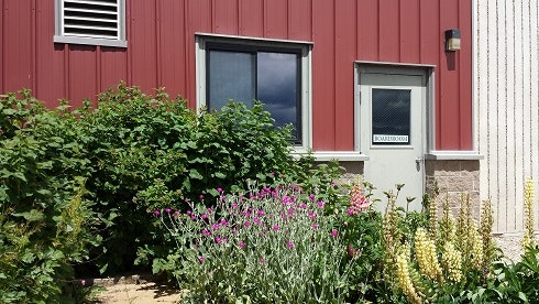 A red building with a window and door, surrounded by green plants and flowers.