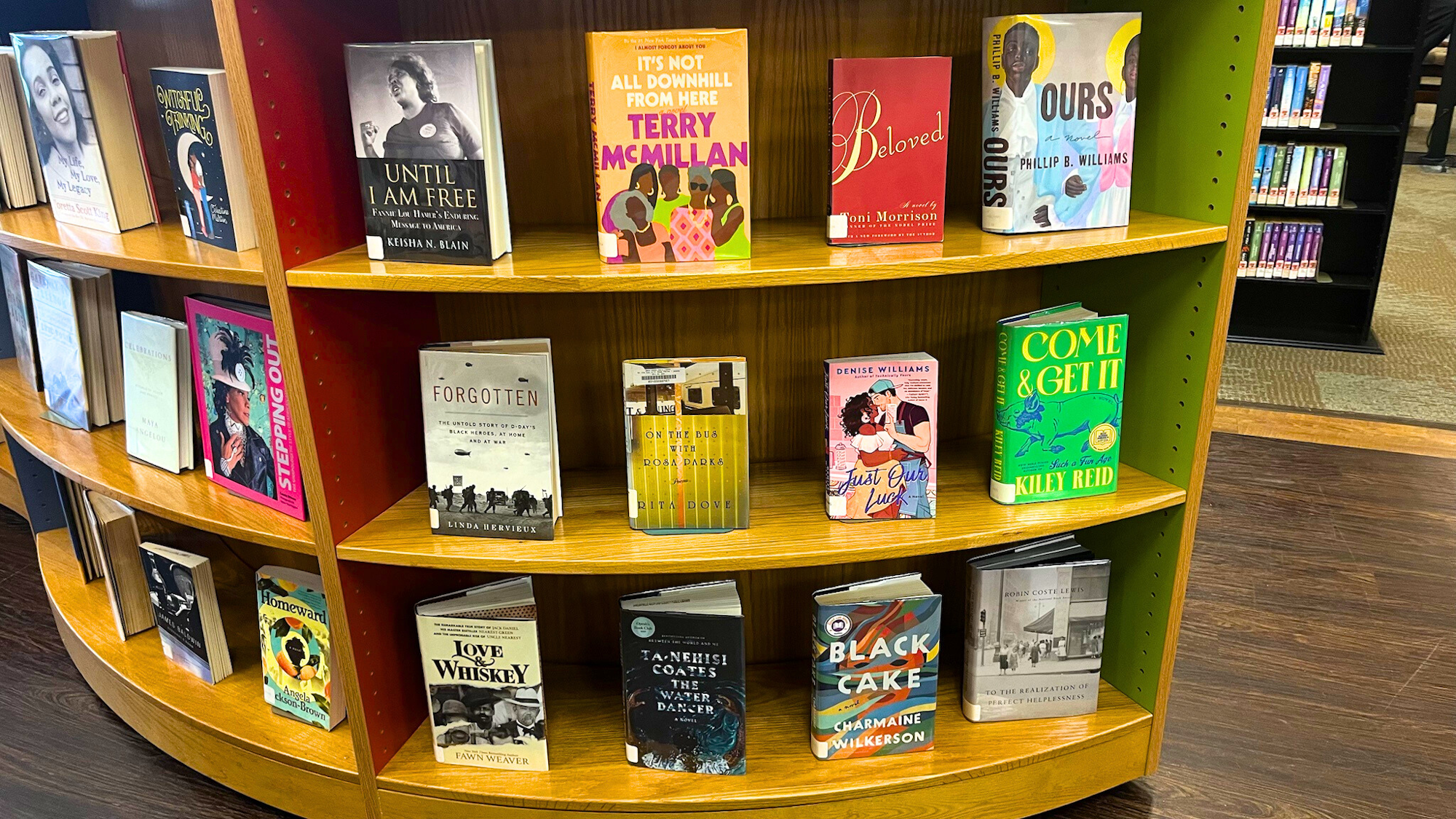 A display of diverse books on a wooden shelf, showcasing various authors and titles, emphasizing rich literary themes.