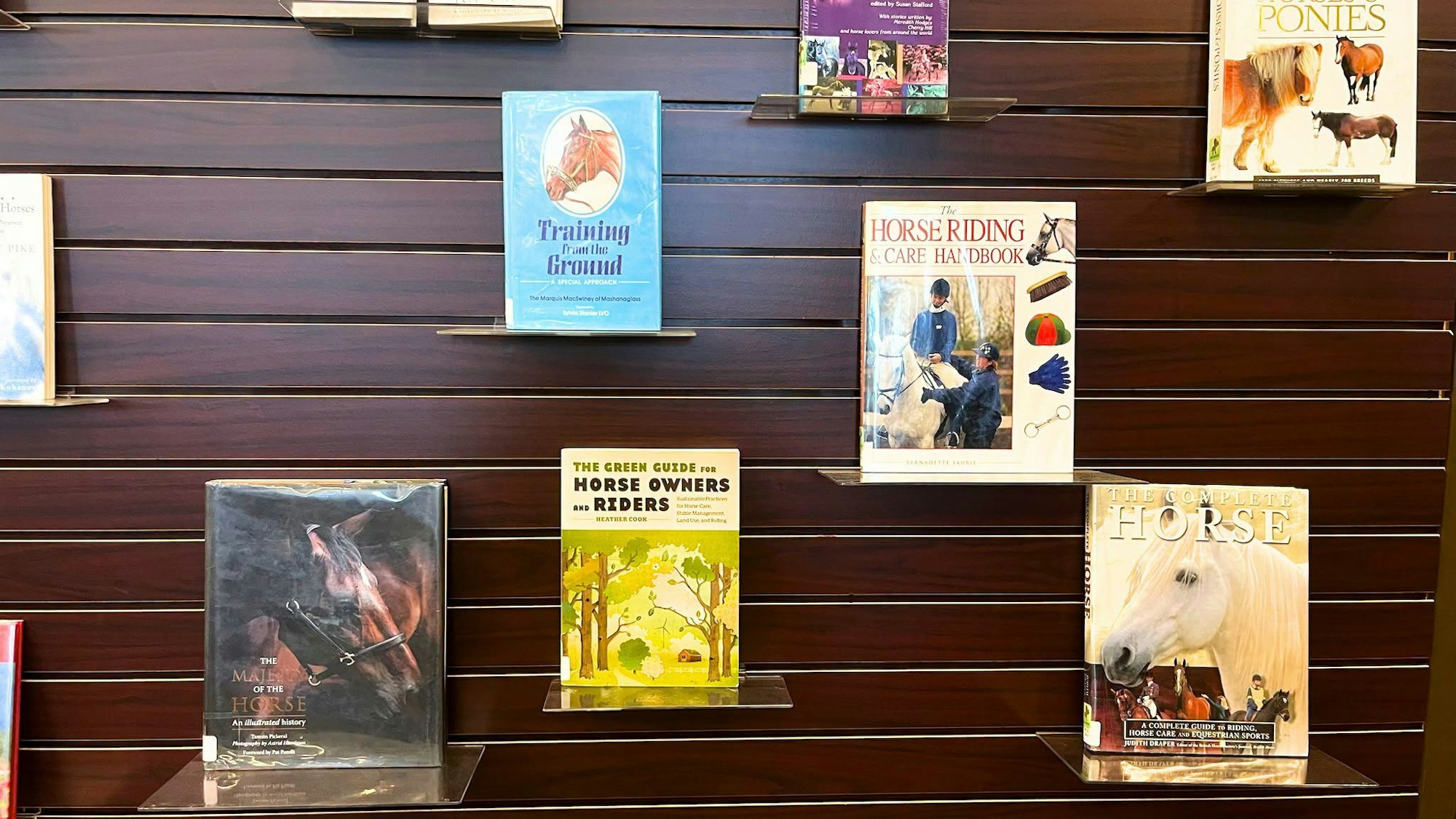 The image features a display of various books about horses, riding, and horse care on wooden shelves.