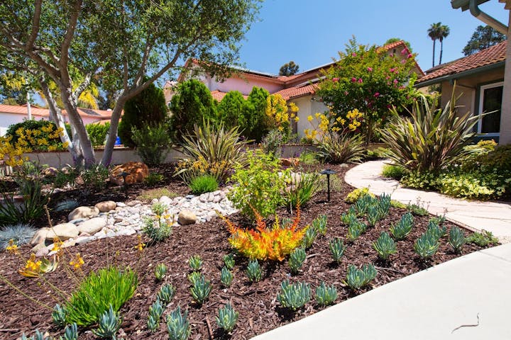 May contain: outdoors, yard, nature, garden, and plant