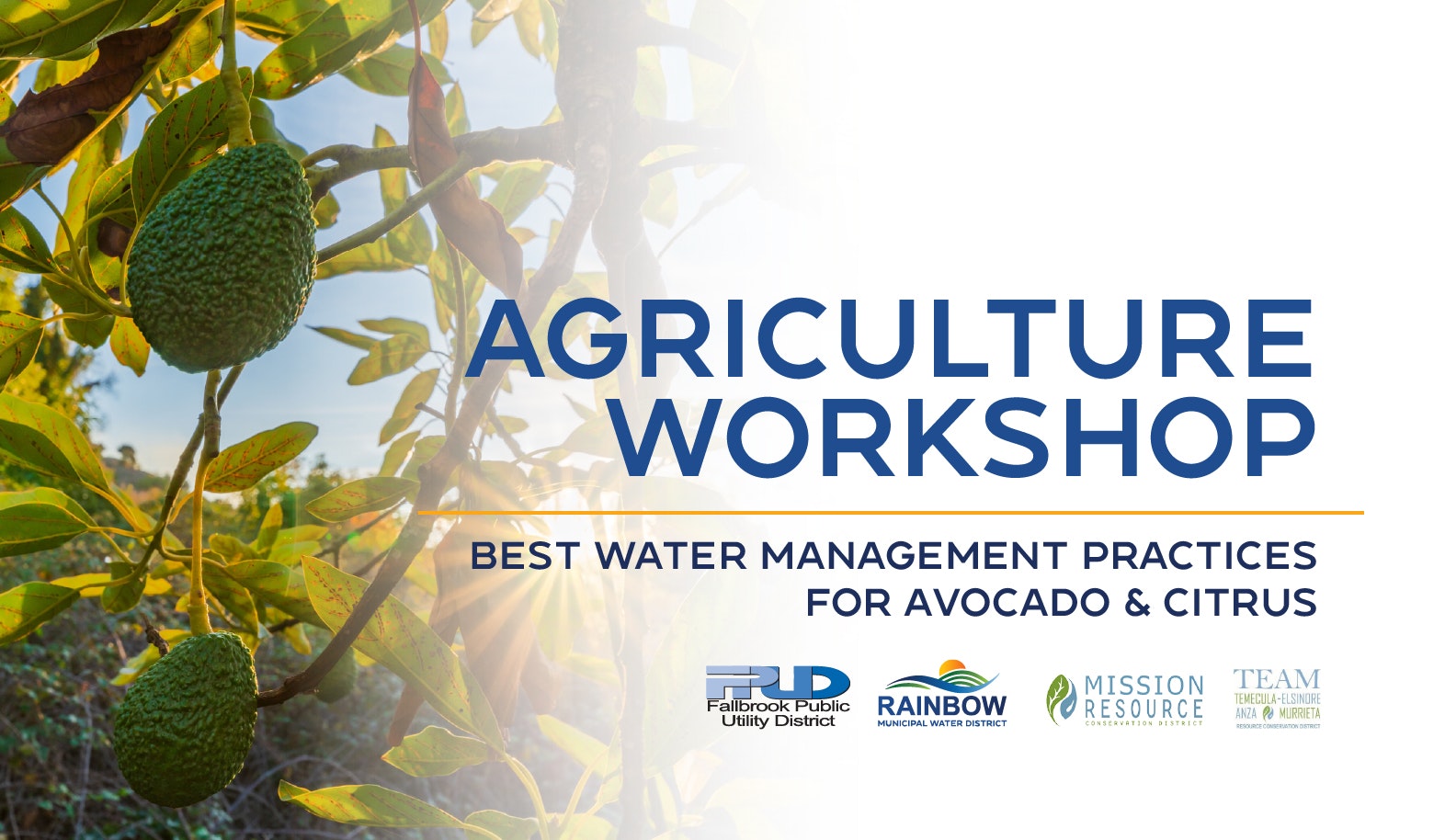An agriculture workshop focused on water management practices for avocado and citrus plants.