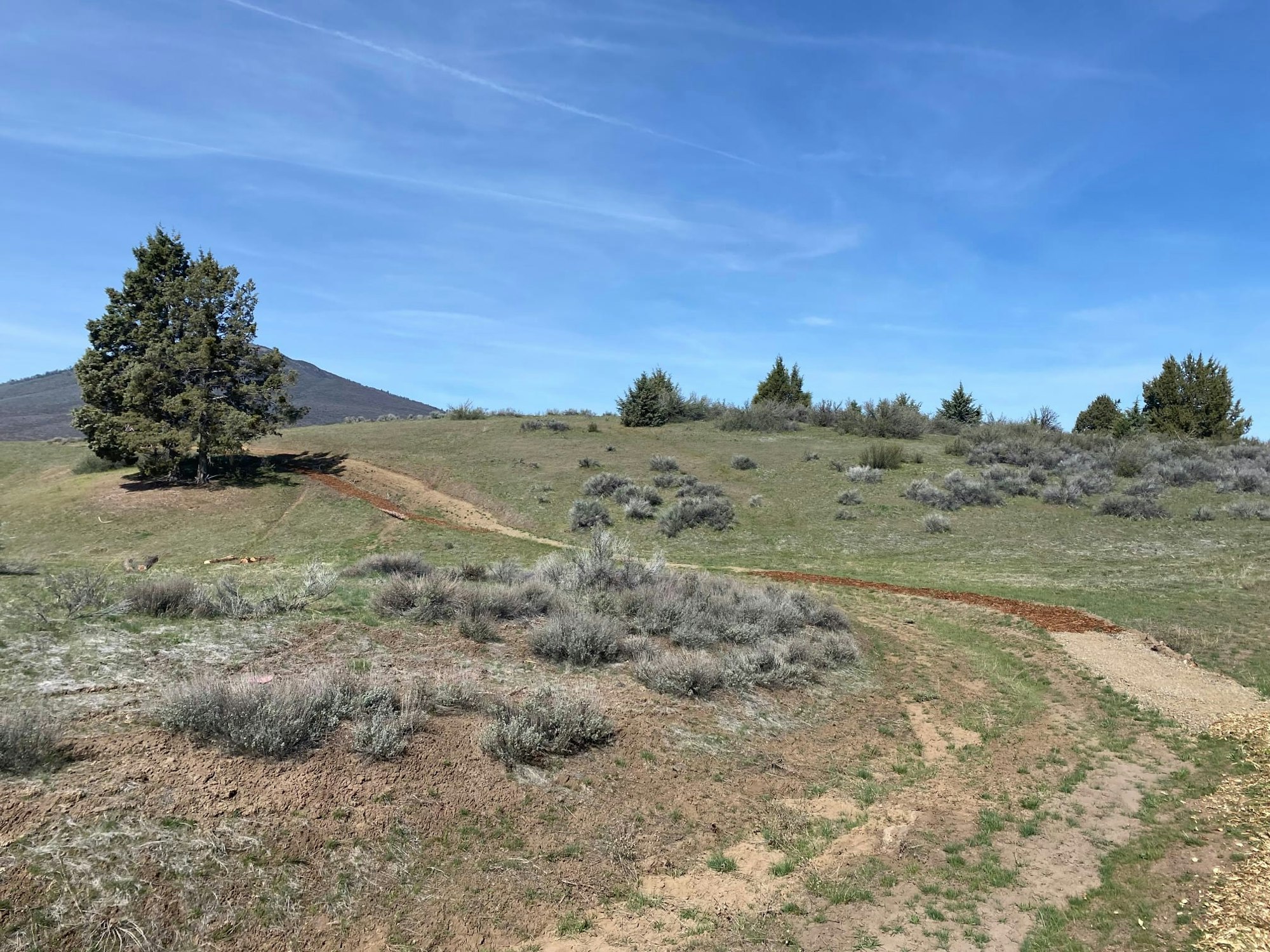 May contain: ground, nature, outdoors, tree, plant, gravel, dirt road, and road