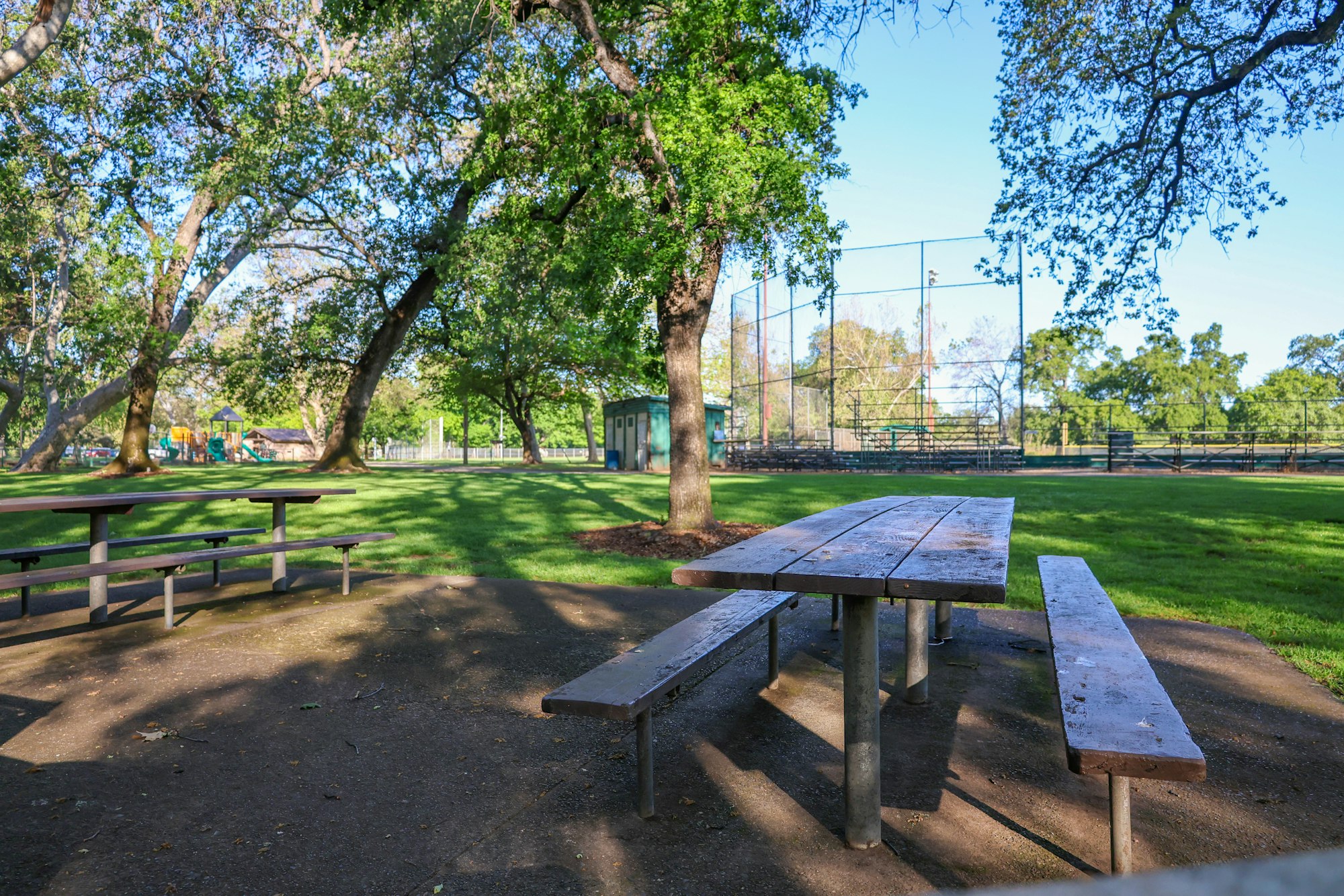 Wooden picnic table in a sunny park with trees and a baseball field in the background.