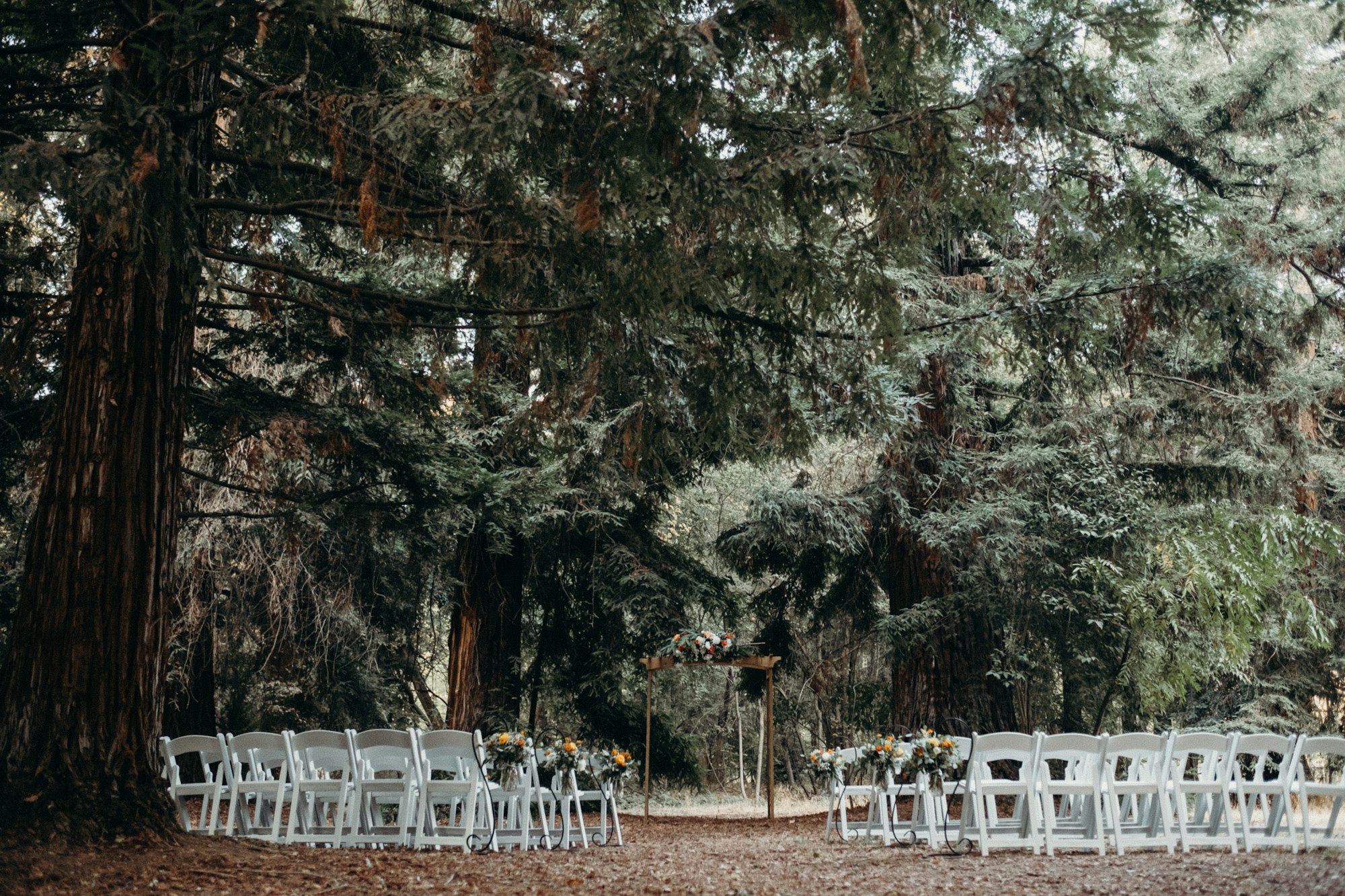An outdoor wedding setup with white chairs and a floral archway in a forest setting.