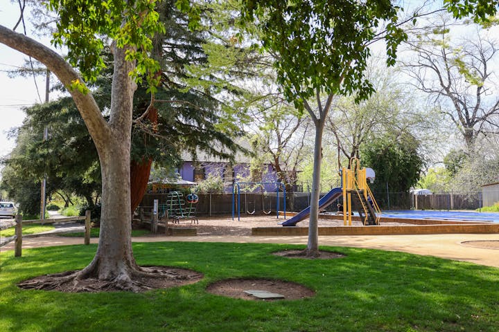 A playground with swings, a slide, and green trees.